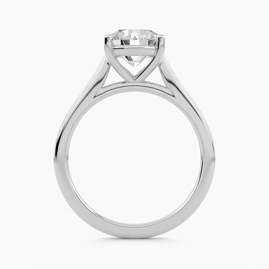 Solitaire With Plain Cathedral Shank, front view