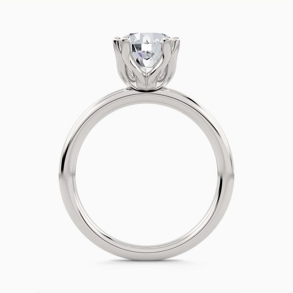Solitaire With Double Prongs, front view